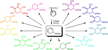 Graphical abstract: De novo synthesis of polyhydroxyl aminocyclohexanes
