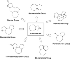 Graphical abstract: The chemistry of Stemona alkaloids: An update