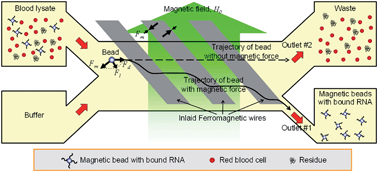 Graphical abstract: High-speed RNA microextraction technology using magnetic oligo-dT beads and lateral magnetophoresis