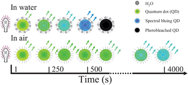 Graphical abstract: Observing photophysical properties of quantum dots in air at the single molecule level: advantages in microarray applications