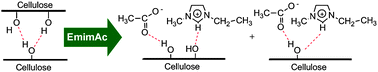 Graphical abstract: Reply to “Comment on ‘NMR spectroscopic studies of cellobiose solvation in EmimAc aimed to understand the dissolution mechanism of cellulose in ionic liquids’” by R. C. Remsing, I. D. Petrik, Z. Liu and G. Moyna, Phys. Chem. Chem. Phys., 2010, 12, DOI: 10.1039/c004203j
