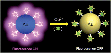 Graphical abstract: BODIPY-functionalized gold nanoparticles as a selective fluoro-chromogenic chemosensor for imaging Cu2+ in living cells