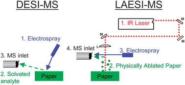 Graphical abstract: Minimally invasive monitoring of cellulose degradation by desorption electrospray ionization and laser ablation electrospray ionization mass spectrometry