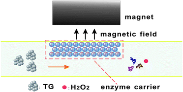 Graphical abstract: Lab-on-a-chip for analysis of triglycerides based on a replaceable enzyme carrier using magnetic beads