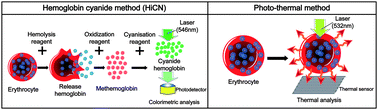 Graphical abstract: Direct measurement of the in vitro hemoglobin content of erythrocytes using the photo-thermal effect of the heme group