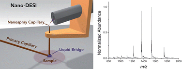 Graphical abstract: Nanospray desorption electrospray ionization: an ambient method for liquid-extraction surface sampling in mass spectrometry