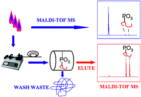 Graphical abstract: Inhibitor screening of protein kinases using MALDI-TOF MS combined with separation and enrichment of phosphopeptides by TiO2 nanoparticle deposited capillary column