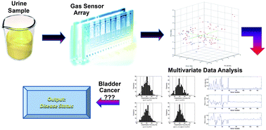 Graphical abstract: Evaluation of a gas sensor array and pattern recognition for the identification of bladder cancer from urine headspace