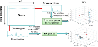 Graphical abstract: Evaluation of different fingerprinting strategies for differentiating marine oils by liquid chromatography ion-trap mass spectrometry and chemometrics