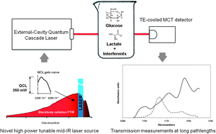 Graphical abstract: Tunable external cavity quantum cascade laser for the simultaneous determination of glucose and lactate in aqueous phase