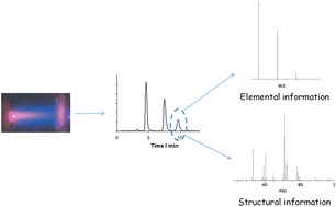 Graphical abstract: Plasma-based mass spectrometry for simultaneous acquisition of elemental and molecular information