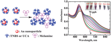 Graphical abstract: Naked eye sensing of melamine using rationally tailored gold nanoparticles: hydrogen-bonding and charge-transfer recognition