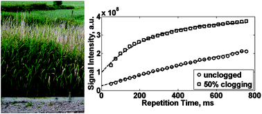 Graphical abstract: Analysis of clogging in constructed wetlands using magnetic resonance