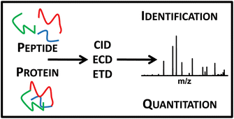 Graphical abstract: Dissociation techniques in mass spectrometry-based proteomics