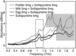 Graphical abstract: Assessment of terahertz spectroscopy to detect antibiotic residues in food and feed matrices