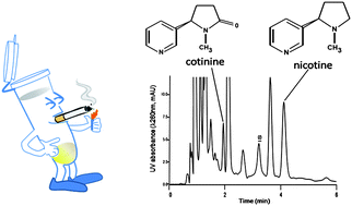Graphical abstract: A novel C6-phenyl liquid chromatographic technique for rapid and simultaneous measurements of urinary cotinine and nicotine
