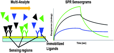 Graphical abstract: High-throughput surface plasmon resonance imaging-based biomolecular kinetic screening analysis