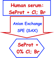 Graphical abstract: Towards an improved qualitative and quantitative determination of glutathione peroxidase, selenoprotein P and selenoalbumin in human serum by HPLC coupled to ICP-MS