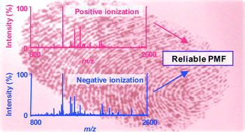 Graphical abstract: A simple and efficient approach to improve protein identification by the peptide mass fingerprinting method: concomitant use of negative ionization