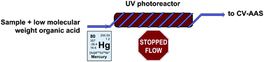 Graphical abstract: On-line UV photoreduction in a flow-injection/stopped-flow manifold for determination of mercury by cold vapour-atomic absorption spectrometry