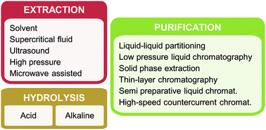 Graphical abstract: Sample preparation of tropical and subtropical fruit biowastes to determine antioxidant phytochemicals