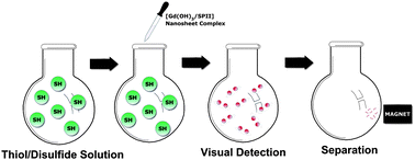 Graphical abstract: Synchronized detection and removal of thiols using a Gd(OH)3 nanosheet-sodium pentacyanonitrosylferrate(II) complex