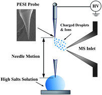 Graphical abstract: Detection of biomolecules from solutions with high concentration of salts using probe electrospray and nano-electrospray ionization mass spectrometry