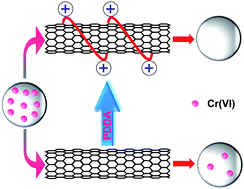 Graphical abstract: Polyelectrolyte-modified multi-walled carbon nanotubes for the adsorption of chromium(vi)