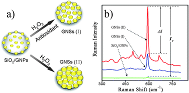 Graphical abstract: Raman spectroscopy for hydrogen peroxide scavenging activity assay using gold nanoshell precursor nanocomposites as SERS probes