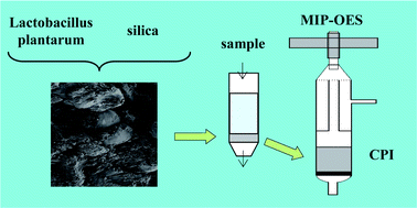 Graphical abstract: Preconcentration of selenium by living bacteria immobilized on silica for microwave induced plasma optical emission spectrometry with continuous powder introduction