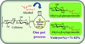 Graphical abstract: One pot catalytic conversion of cellulose into biodegradable surfactants