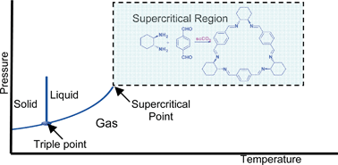 Graphical abstract: Towards the synthesis of Schiff base macrocycles under supercritical CO2 conditions