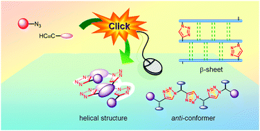 Graphical abstract: Conformational and supramolecular properties of main chain and cyclic click oligotriazoles and polytriazoles