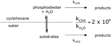 Graphical abstract: The hydrolysis of phosphate diesters in cyclohexane and acetone