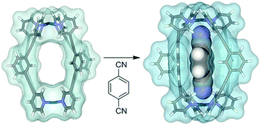 Graphical abstract: Two-component control of guest binding in a self-assembled cage molecule