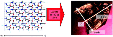 Graphical abstract: Acceleration of crystal growth rates: an unexpected effect of tailor-made additives