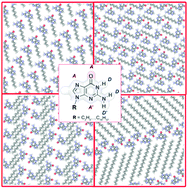 Graphical abstract: Nanopatterning the surface with ordered supramolecular architectures of N9-alkylated guanines: STM reveals