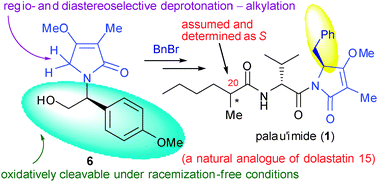 Graphical abstract: The first enantioselective synthesis of cytotoxic marine natural product palau’imide and assignment of its C-20 stereochemistry