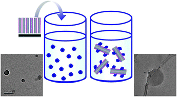 Graphical abstract: Dispersion of multi-walled carbon nanotubes in an aqueous medium by water-dispersible conjugated polymer nanoparticles