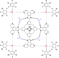 Graphical abstract: A deep tetranuclear metallo-cavitand with bis(aryl) palladium bridges