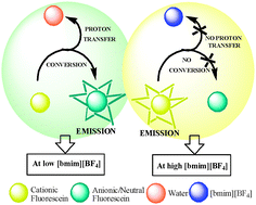 Graphical abstract: Unusual fluorescein prototropism within aqueous acidic 1-butyl-3-methylimidazolium tetrafluoroborate solution