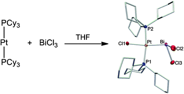 Graphical abstract: Oxidative addition of the bismuth-chloride bond: synthesis and structure of trans-[PtCl(PCy3)2{BiCl2}]