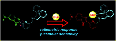 Graphical abstract: A highly sensitive ratiometric fluorescent probe for Cd2+ detection in aqueous solution and living cells