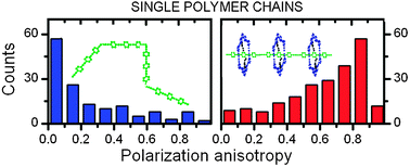 Graphical abstract: Quantitative mass determination of conjugated polymers for single molecule conformation analysis: enhancing rigidity with macrocycles
