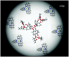 Graphical abstract: Molecular recognition of star-burst tetranuclear Ru(iii) complexes on a chirally modified clay surface