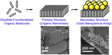 Graphical abstract: Two-dimensional self-assembly of disulfide functionalized bis-acylurea: a nanosheet template for gold nanoparticle arrays