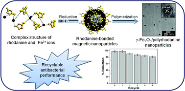 Graphical abstract: One-step fabrication of magnetic γ-Fe2O3/polyrhodanine nanoparticles using in situ chemical oxidation polymerization and their antibacterial properties