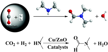 Graphical abstract: Synthesis of dimethylformamide from CO2, H2 and dimethylamine over Cu/ZnO