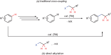 Graphical abstract: Metal-catalyzed direct alkylations of (hetero)arenes via C–H bond cleavages with unactivated alkyl halides