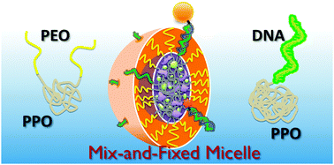 Graphical abstract: DNA-functionalised blend micelles: mix and fix polymeric hybrid nanostructures